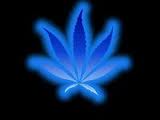 imagesCA1LTO8Y